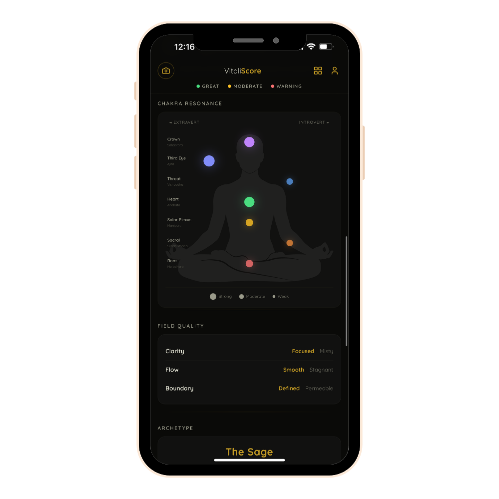 VitaliScore Human Field Reading: Chakra + Field Quality