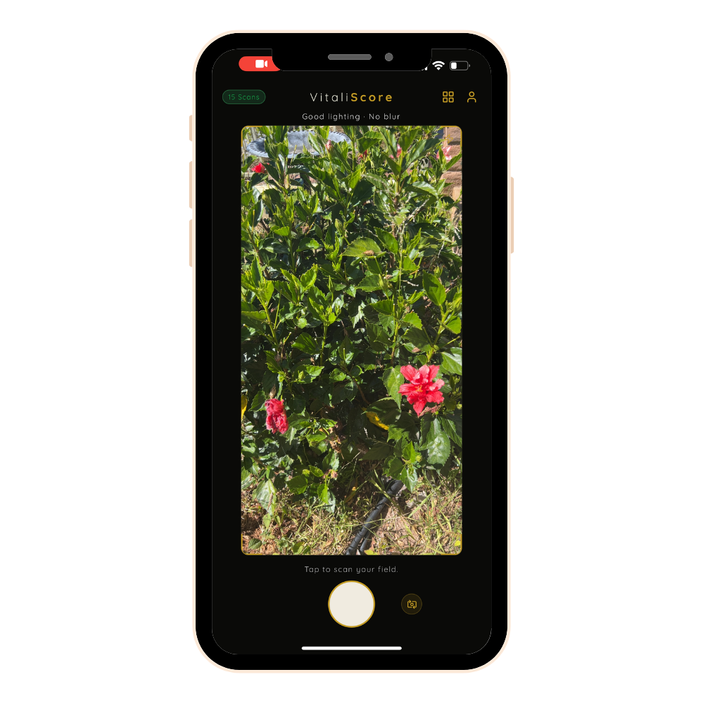 VitaliScore Plant Field Reading: Frame the plant